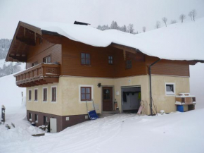Apartment near the ski area in Wagrain
